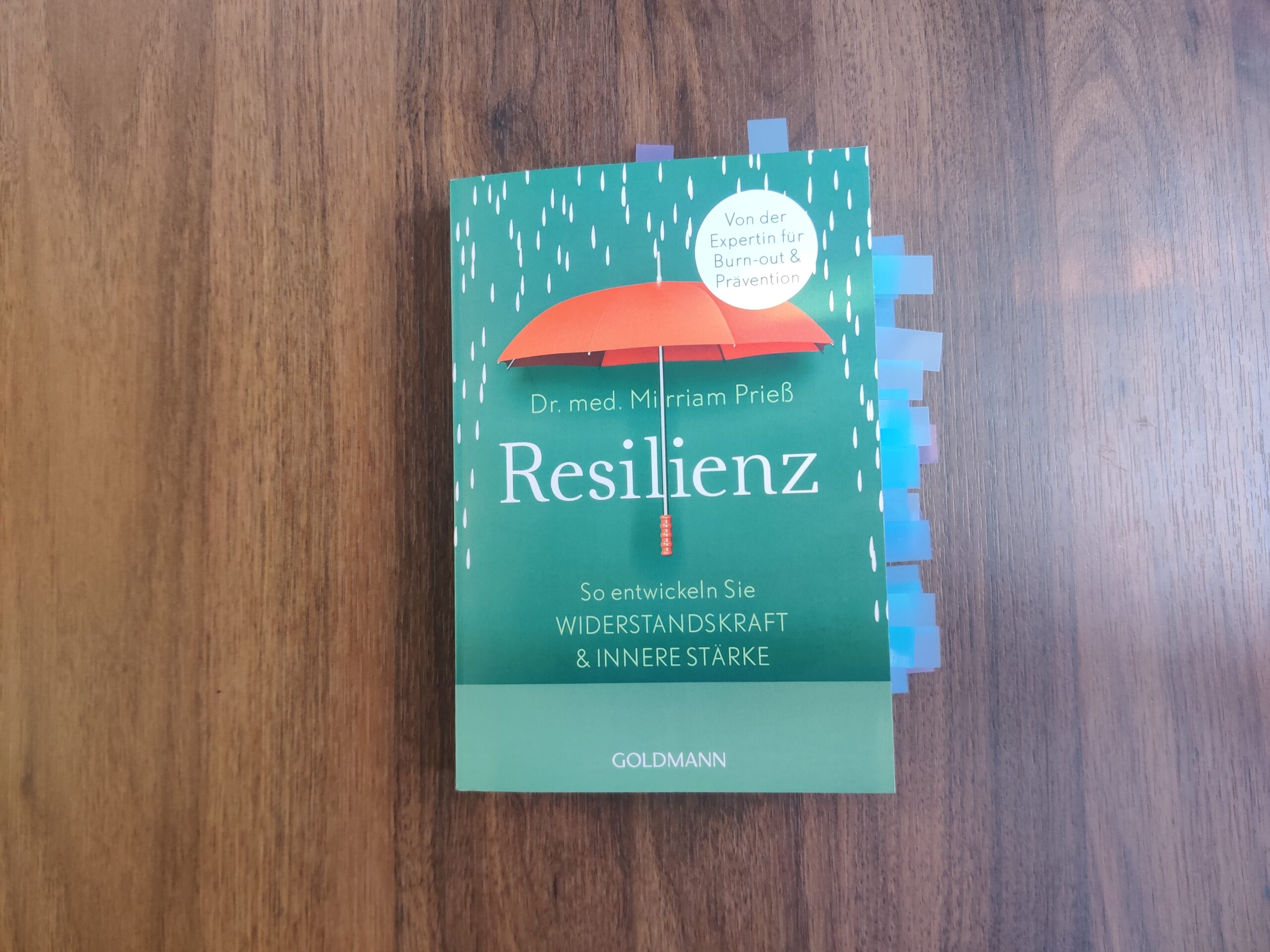 Resilienz als gelingende Beziehung mit sich selbst und der Welt
