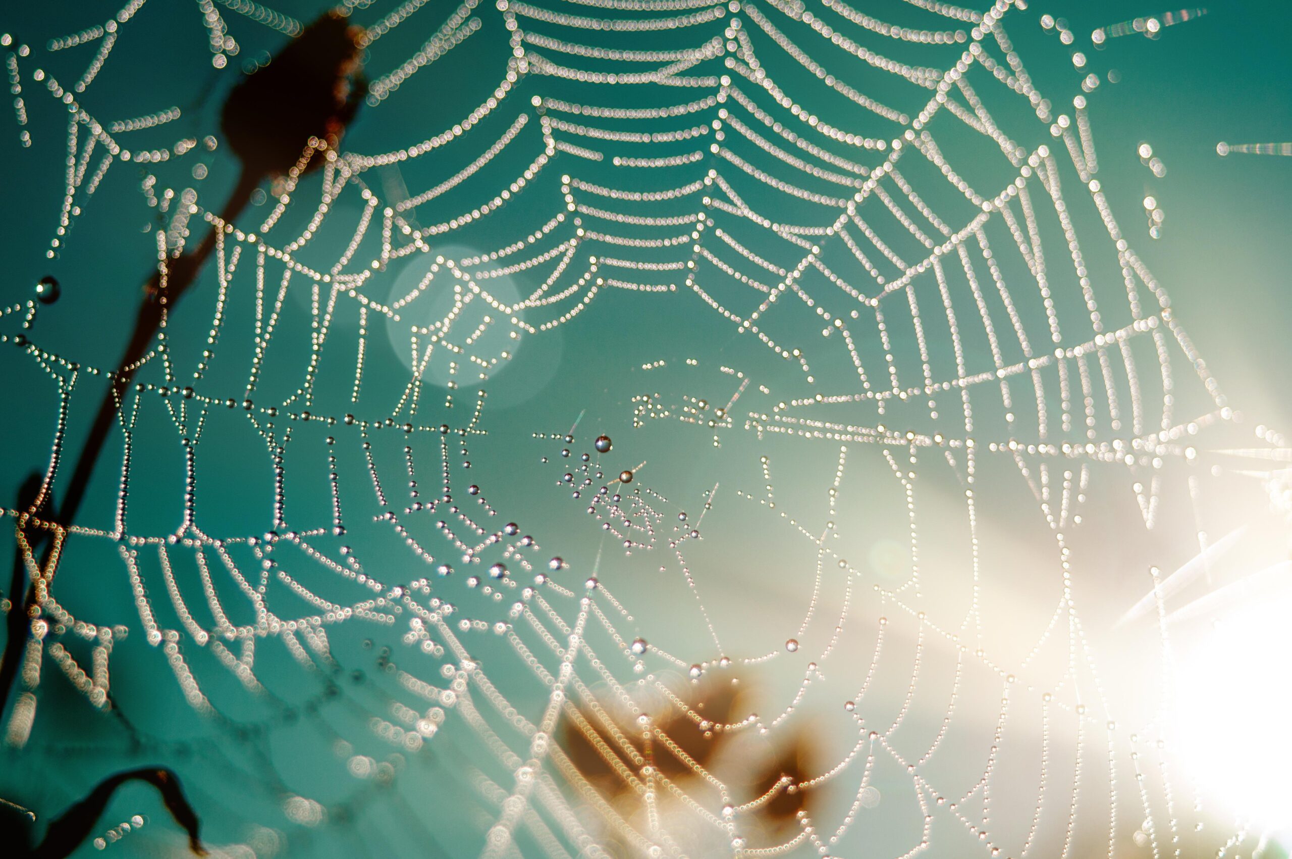 Soziale Ressourcen: Das Beziehungsnetz